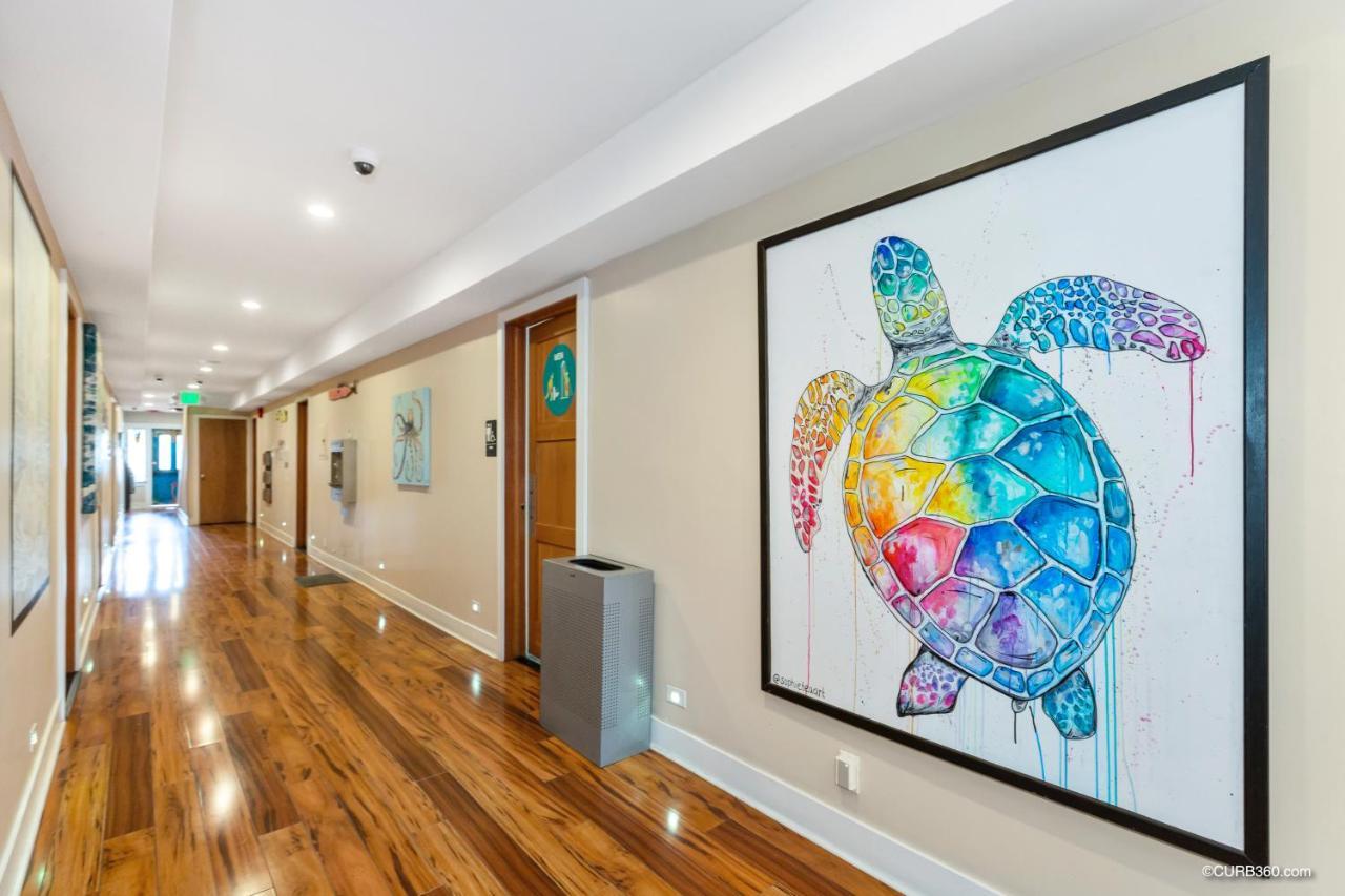 Samesun Ocean Beach Hotel & Hostel San Diego Luaran gambar